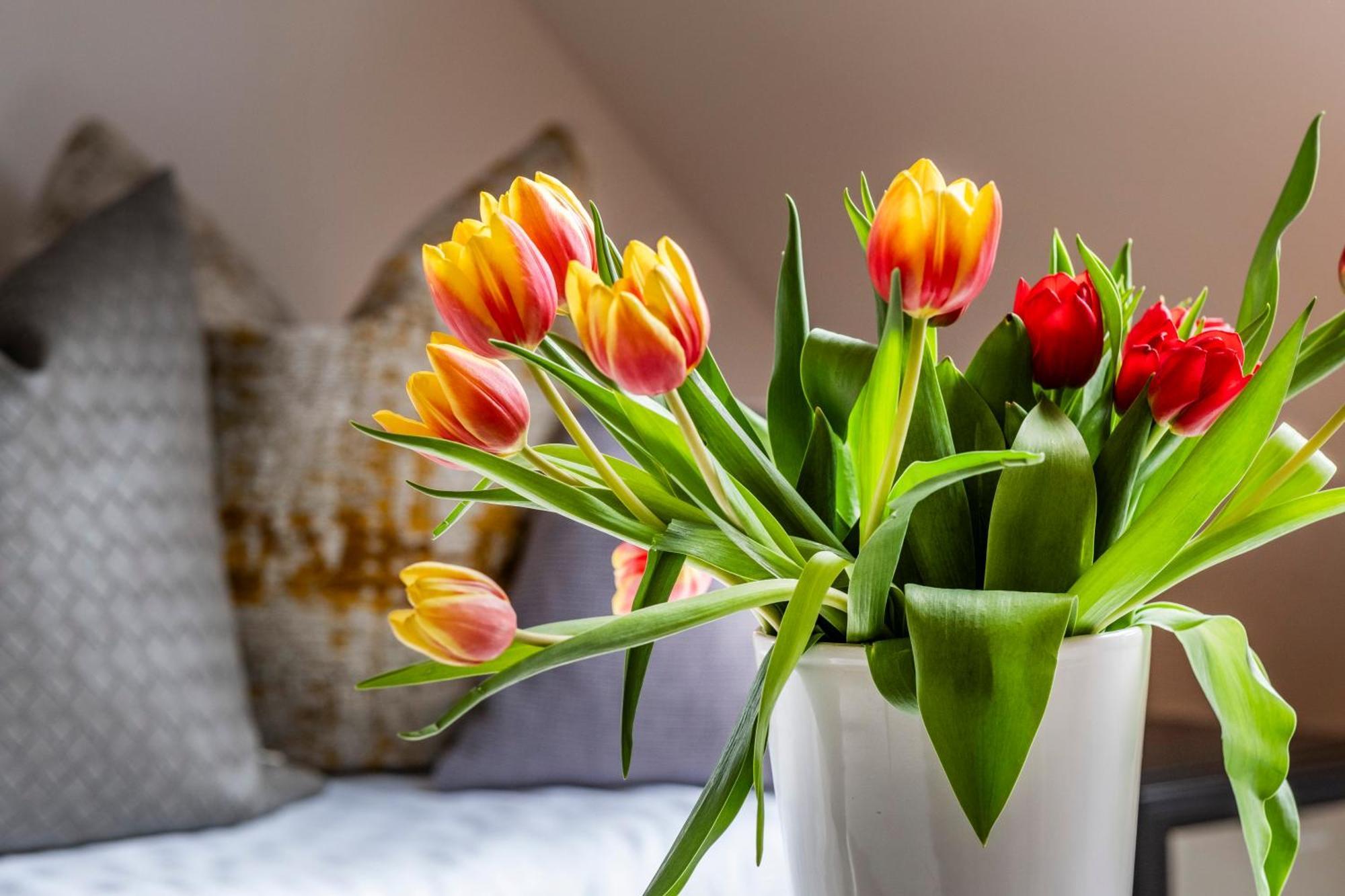 Seehotel Lichtenberg Luaran gambar